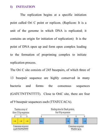 I) INITIATION
The replication begins at a specific initiation
point called Ori C point or replicon. (Replicon: It is a
unit of the genome in which DNA is replicated; it
contains an origin for initiation of replication) It is the
point of DNA open up and form open complex leading
to the formation of prepriming complex to initiate
replication process.
The Ori C site consists of 245 basepairs, of which three of
13 basepair sequence are highly conserved in many
bacteria and forms the consensus sequences
(GATCTNTTNTTTT). Close to OriC site, there are four
of 9 basepair sequences each (TTATCCACA).
 