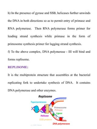 h) In the presence of gyrase and SSB, helicases further unwinds
the DNA in both directions so as to permit entry of primase and
RNA polymerase. Then RNA polymerase forms primer for
leading strand synthesis while primase in the form of
primosome synthesis primer for lagging strand synthesis.
f) To the above complex, DNA polymerase - III will bind and
forms replisome.
REPLISOME:
It is the multiprotein structure that assembles at the bacterial
replicating fork to undertake synthesis of DNA. It contains
DNA polymerase and other enzymes.
 