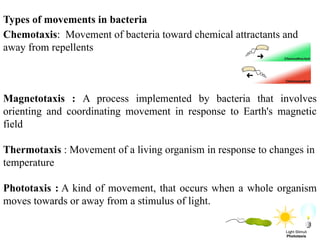 Prokaryotic structure Part 2.pptx......... | PPTX