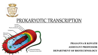 PROKARYOTIC TRANSCRIPTION
PRASANNA R KOVATH
ASSISTANT PROFESSOR
DEPARTMENT OF BIOTECHNOLOGY
 