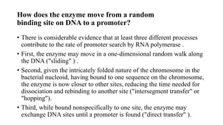 How does the enzyme move from a random
binding site on DNA to a promoter?
• There is considerable evidence that at least three different processes
contribute to the rate of promoter search by RNA polymerase .
• First, the enzyme may move in a one-dimensional random walk along
the DNA ("sliding" ) .
• Second, given the intricately folded nature of the chromosome in the
bacterial nucleoid, having bound to one sequence on the chromosome,
the enzyme is now closer to other sites, reducing the time needed for
dissociation and rebinding to another site ("intersegment transfer" or
"hopping").
• Third, while bound nonspecifically to one site, the enzyme may
exchange DNA sites until a promoter is found ("direct transfer" ).
 