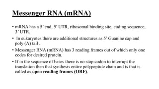 Messenger RNA (mRNA)
• mRNA has a 5’ end, 5’ UTR, ribosomal binding site, coding sequence,
3’ UTR.
• In eukaryotes there are additional structures as 5’ Guanine cap and
poly (A) tail .
• Messenger RNA (mRNA) has 3 reading frames out of which only one
codes for desired protein.
• If in the sequence of bases there is no stop codon to interrupt the
translation then that synthesis entire polypeptide chain and is that is
called as open reading frames (ORF).
 