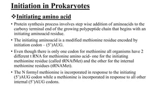 Initiation in Prokaryotes
Initiating amino acid
• Protein synthesis process involves step wise addition of aminoacids to the
carboxy terminal end of the growing polypeptide chain that begins with an
initiating aminoacid residue.
• The initiating aminoacid is a modified methionine residue encoded by
initiation codon – (5’)AUG.
• Even though there is only one codon for methionine all organisms have 2
different t RNA for methionine amino acid- one for the initiating
methionine residue (called tRNAfMet) and the other for the internal
methionine residues (tRNAMet).
• The N formyl methionine is incorporated in response to the initiating
(5’)AUG codon while a methionine is incorporated in response to all other
internal (5’)AUG codons.
 