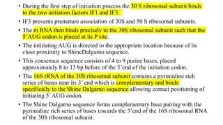 • During the first step of initiation process the 30 S ribosomal subunit binds
to the two initiation factors IF1 and IF3.
• IF3 prevents premature association of 30S and 50 S ribosomal subunits.
• The m RNA then binds precisely to the 30S ribosomal subunit such that the
5’AUG codon is placed at its P site.
• The intitiating AUG is directed to the appropriate location because of its
close proximity to ShineDalgarno sequence.
• This consensus sequence consists of 4 to 9 purine bases, placed
approximately 8 to 13 bp before of the 5’end of the initiation codon.
• The 16S rRNA of the 30S ribosomal subunit contains a pyrimidine rich
series of bases near its 3’ end which is complementary and binds
specifically to the Shine Dalgarno sequence allowing correct positioning of
initiating 5’AUG codon.
• The Shine Dalgarno sequence forms complementary base pairing with the
pyrimidine rich series of bases towards the 3’end of the 16S ribosomal RNA
of the 30S ribosomal subunit.
 