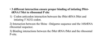 • 3 different interaction ensure proper binding of intiating fMet-
tRNA f Met to ribosomal P site
1) Codon anticodon interaction between the fMet tRNA fMet and
intiating 5’AUG codon.
2) Interaction between the Shine –Dalgarno sequence and the 16SrRNA
ribosomal sequence.
3) Binding interactions between the fMet tRNA fMet and the ribosomal
P-site.
 