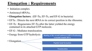 Elongation : Requirements
• Initiation complex
• Aminoacyl-tRNAs,
• Elongation factors: (EF-Tu, EF-Ts, and EF-G in bacteria)
• EFTu : Directs the next tRNA to its correct position in the ribosome.
• EF-Ts : Regenerates EF-Tu after the latter yielded the energy
contained in its attached GTP molecule.
• EF-G : Mediates translocation.
• Energy from GTP hydrolysis
• Elongation
Binding of the second aminoacyl-tRNA/Positioning
a second transfer RNA
Peptide bond formation
Translocation
 