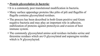 • Protein glycosylation in bacteria:
• It is a commonly post translational modification in bacteria.
• Many surface appendage proteins like pilin of pili and flagellin of
flagella contains glycosylated residues.
• The process has been described in both Gram positive and Gram
negative bacteria and may play an important role in adhesion,
stabilization of proteins against proteolysis and evasion of host
immune system.
• The commonly glycosylated amino acid residues includes serine and
threonine residues which are O glycosylated and asparagine residue
which is N glycosylayted.
 