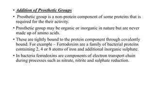 • Addition of Prosthetic Groups
• Prosthetic group is a non-protein component of some proteins that is
required for the their activity.
• Prosthetic group may be organic or inorganic in nature but are never
made up of amino acids.
• These are tightly bound to the protein component through covalently
bound. For example – Ferrodoxins are a family of bacterial proteins
containing 2, 4 or 8 atoms of iron and additional inorganic sulphate.
• In bacteria ferrodoxins are components of electron transport chain
during processes such as nitrate, nitrite and sulphate reduction.
 