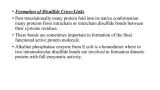 • Formation of Disulfide Cross-Links
• Post translationally many protein fold into its native conformation
many proteins from intrachain or interchain disulfide bonds between
their cysteine residues.
• These bonds are sometimes important in formation of the final
functional active protein molecule.
• Alkaline phosphatase enzyme from E.coli is a homodimer where in
two intramolecular disulfide bonds are involved in formation dimeric
protein with full enzymatic activity.
 