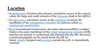 Location
• In prokaryotes (bacteria and archaea), translation occurs in the cytosol,
where the large and small subunits of the ribosome bind to the mRNA.
• In eukaryotes, translation occurs in the cytoplasm or across the
membrane of the endoplasmic reticulum in a process called co-
translational translocation.
• In co-translational translocation, the entire ribosome/mRNA complex
binds to the outer membrane of the rough endoplasmic reticulum (ER)
and the new protein is synthesized and released into the ER; the newly
created polypeptide can be stored inside the ER for
future vesicle transport and secretion outside the cell, or immediately
secreted.
 