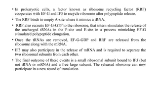 Prokaryotic Translation include translation of prokaryotes | PPTX