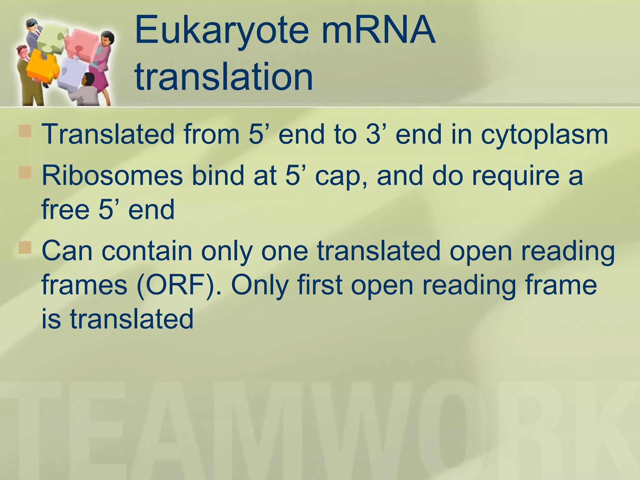 Prokaryotic vs eukaryotic 3 | PPT