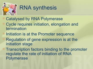RNA synthesis
 Catalysed by RNA Polymerase
 Cycle requires initiation, elongation and
termination
 Initiation is at the Promoter sequence
 Regulation of gene expression is at the
initiation stage
 Transcription factors binding to the promoter
regulate the rate of initiation of RNA
Polymerase
 