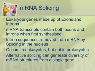 mRNA Splicing
 Eukaryote genes made up of Exons and
Introns
 mRNA transcripts contain both exons and
introns when first synthesised
 Intron sequences removed from mRNA by
Splicing in the nucleus
 Occurs in eukaryotes, but not in prokaryotes
 Alternative splicing can generate diversity of
mRNA structures from a single gene
 