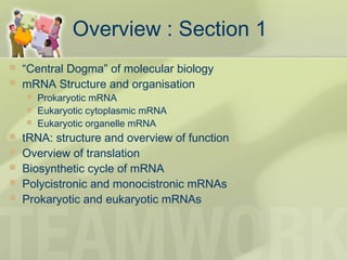 Overview : Section 1
 “Central Dogma” of molecular biology
 mRNA Structure and organisation
 Prokaryotic mRNA
 Eukaryotic cytoplasmic mRNA
 Eukaryotic organelle mRNA
 tRNA: structure and overview of function
 Overview of translation
 Biosynthetic cycle of mRNA
 Polycistronic and monocistronic mRNAs
 Prokaryotic and eukaryotic mRNAs
 