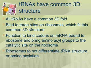 tRNAs have common 3D
structure
 All tRNAs have a common 3D fold
 Bind to three sites on ribosomes, which fit this
common 3D structure
 Function to bind codons on mRNA bound to
ribosome and bring amino acyl groups to the
catalytic site on the ribosome
 Ribosomes to not differentiate tRNA structure
or amino acylation.
 