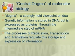 “Central Dogma” of molecular
biology
 “dogma” - a strongly held viewpoint or idea
 Genetic information is stored in DNA, but is
expressed as proteins, through the
intermediate step of mRNA
 The processes of Replication, Transcription
and Translation regulate this storage and
expression of information
 