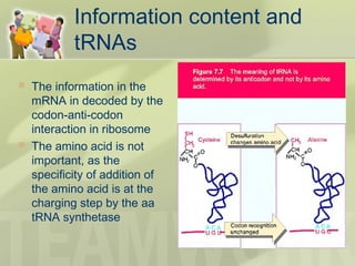 Information content and
tRNAs
 The information in the
mRNA in decoded by the
codon-anti-codon
interaction in ribosome
 The amino acid is not
important, as the
specificity of addition of
the amino acid is at the
charging step by the aa
tRNA synthetase
 
