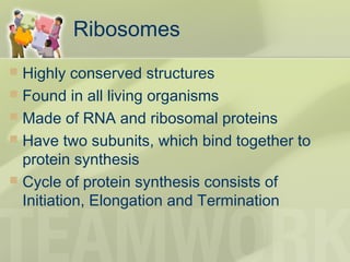 Ribosomes
 Highly conserved structures
 Found in all living organisms
 Made of RNA and ribosomal proteins
 Have two subunits, which bind together to
protein synthesis
 Cycle of protein synthesis consists of
Initiation, Elongation and Termination
 