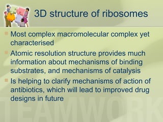 3D structure of ribosomes
 Most complex macromolecular complex yet
characterised
 Atomic resolution structure provides much
information about mechanisms of binding
substrates, and mechanisms of catalysis
 Is helping to clarify mechanisms of action of
antibiotics, which will lead to improved drug
designs in future
 
