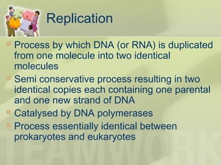 Replication
 Process by which DNA (or RNA) is duplicated
from one molecule into two identical
molecules
 Semi conservative process resulting in two
identical copies each containing one parental
and one new strand of DNA
 Catalysed by DNA polymerases
 Process essentially identical between
prokaryotes and eukaryotes
 
