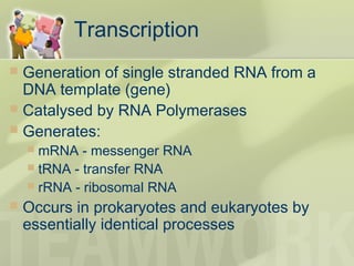 Transcription
 Generation of single stranded RNA from a
DNA template (gene)
 Catalysed by RNA Polymerases
 Generates:
 mRNA - messenger RNA
 tRNA - transfer RNA
 rRNA - ribosomal RNA
 Occurs in prokaryotes and eukaryotes by
essentially identical processes
 