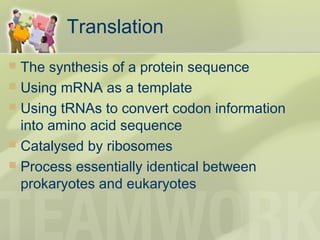 Translation
 The synthesis of a protein sequence
 Using mRNA as a template
 Using tRNAs to convert codon information
into amino acid sequence
 Catalysed by ribosomes
 Process essentially identical between
prokaryotes and eukaryotes
 