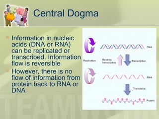 Central Dogma
 Information in nucleic
acids (DNA or RNA)
can be replicated or
transcribed. Information
flow is reversible
 However, there is no
flow of information from
protein back to RNA or
DNA
 