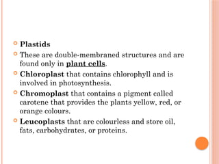  Plastids
 These are double-membraned structures and are
found only in plant cells.
 Chloroplast that contains chlorophyll and is
involved in photosynthesis.
 Chromoplast that contains a pigment called
carotene that provides the plants yellow, red, or
orange colours.
 Leucoplasts that are colourless and store oil,
fats, carbohydrates, or proteins.
 