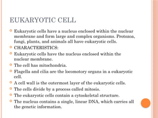 EUKARYOTIC CELL
 Eukaryotic cells have a nucleus enclosed within the nuclear
membrane and form large and complex organisms. Protozoa,
fungi, plants, and animals all have eukaryotic cells.
 CHARACTERISTICS:
 Eukaryotic cells have the nucleus enclosed within the
nuclear membrane.
 The cell has mitochondria.
 Flagella and cilia are the locomotory organs in a eukaryotic
cell.
 A cell wall is the outermost layer of the eukaryotic cells.
 The cells divide by a process called mitosis.
 The eukaryotic cells contain a cytoskeletal structure.
 The nucleus contains a single, linear DNA, which carries all
the genetic information.
 