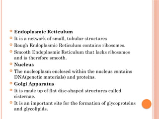 Endoplasmic Reticulum
 It is a network of small, tubular structures
 Rough Endoplasmic Reticulum contains ribosomes.
 Smooth Endoplasmic Reticulum that lacks ribosomes
and is therefore smooth.
 Nucleus
 The nucleoplasm enclosed within the nucleus contains
DNA(genetic materials) and proteins.
 Golgi Apparatus
 It is made up of flat disc-shaped structures called
cisternae.
 It is an important site for the formation of glycoproteins
and glycolipids.
 