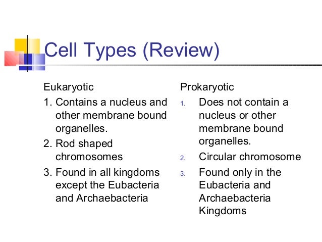 prokaryotic vs eukaryotic cells archaebacteria vs eubacteria venn diagram