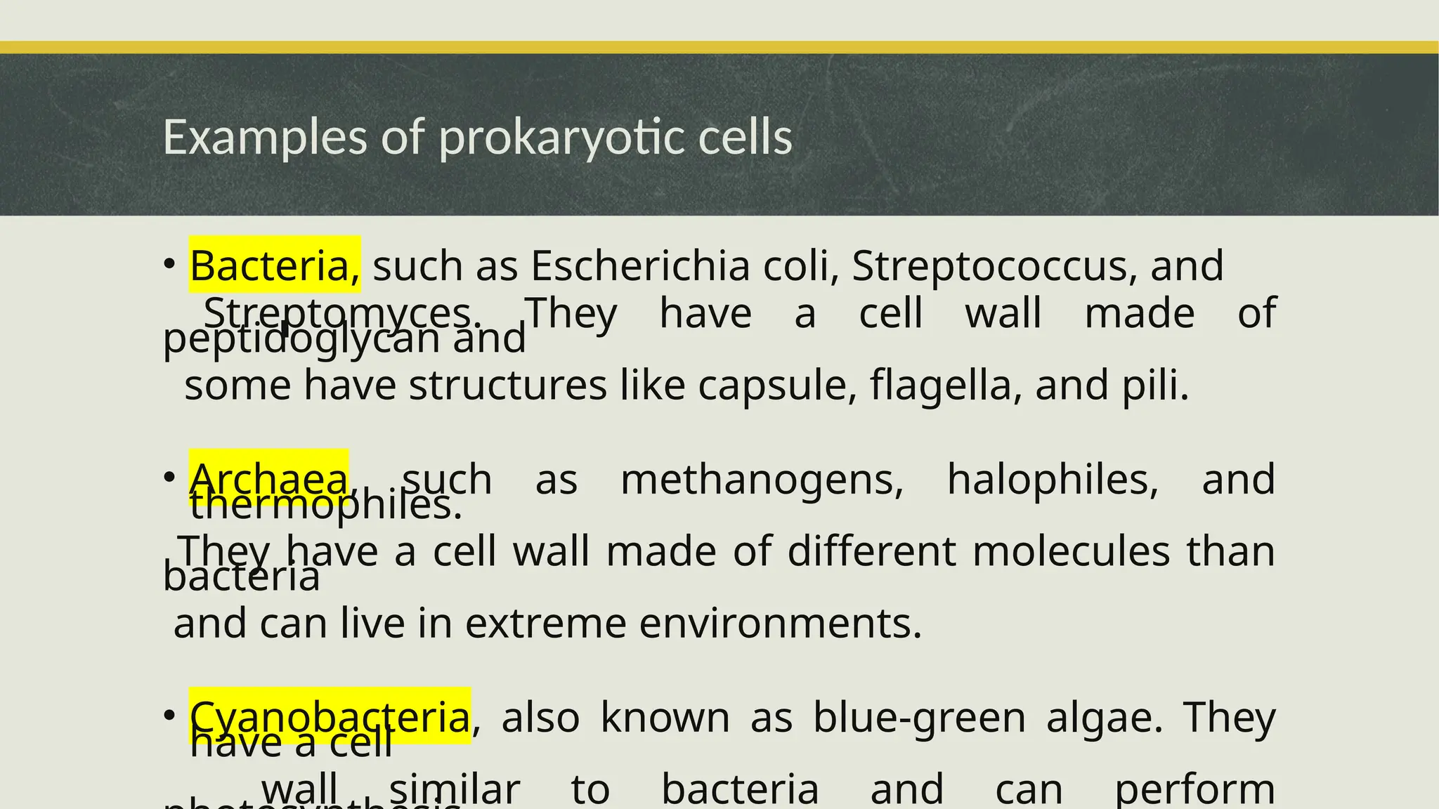 Difference between a Prokaryotic vs Eukaryotic Cells.pptx