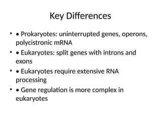Comprehensive Comparison of Gene Structure in Prokaryotes and ...