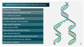 10
SIGNIFICANCE OF PROKARYOTIC DNA REPLICATION
Prokaryotic Replication
This process occurs in prokaryotic cells.
It is a continuous process.
Circular, double-stranded DNA
The DNA replicates in the cytoplasm
Single origin of replication
Small amount of DNA
DNA polymerase I and III are involved
Large okazaki fragments
The process is rapid, 2000 base pairs per second
Two circular chromosomes are obtained
DNA gyrase is required
