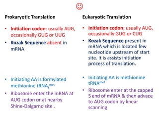 Prokaryots vs eukaryotes | PPTX