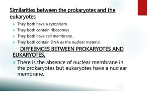 Similarities between the prokaryotes and the
eukaryotes
 They both have a cytoplasm.
 They both contain ribosomes
 They both have cell membrane.
 They both contain DNA as the nuclear material.
DIFFEEMCES BETWEEN PROKARYOTES AND
EUKARYOTES.
 There is the absence of nuclear membrane in
the prokaryotes but eukaryotes have a nuclear
membrane.
 