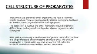 CELL STRUCTURE OF PROKARYOTES
Prokaryotes are extremely small organisms and have a relatively
simple structure. They are surrounded by plasma membrane, but have
no internal bound organelles within their cytoplasm.
The absence of a nucleus and other membrane-bound organelles
differentiates prokaryotes from the other class of organisms called
Eukaryotes
Most prokaryotes carry a small amount of genetic material in the form
of a single molecule or chromosome of circular DNA. The DNA in
prokaryotes is contained in a central area of the cell called the
nucleoid, which is surrounded by a nuclear membrane.
 