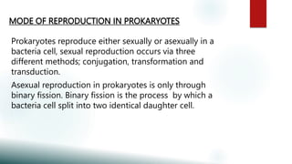 MODE OF REPRODUCTION IN PROKARYOTES
Prokaryotes reproduce either sexually or asexually in a
bacteria cell, sexual reproduction occurs via three
different methods; conjugation, transformation and
transduction.
Asexual reproduction in prokaryotes is only through
binary fission. Binary fission is the process by which a
bacteria cell split into two identical daughter cell.
 