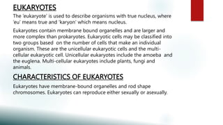 EUKARYOTES
The ‘eukaryote’ is used to describe organisms with true nucleus, where
‘eu’ means true and ‘karyon’ which means nucleus.
Eukaryotes contain membrane bound organelles and are larger and
more complex than prokaryotes. Eukaryotic cells may be classified into
two groups based on the number of cells that make an individual
organism. These are the unicellular eukaryotic cells and the multi-
cellular eukaryotic cell. Unicellular eukaryotes include the amoeba and
the euglena. Multi-cellular eukaryotes include plants, fungi and
animals.
CHARACTERISTICS OF EUKARYOTES
Eukaryotes have membrane-bound organelles and rod shape
chromosomes. Eukaryotes can reproduce either sexually or asexually.
 