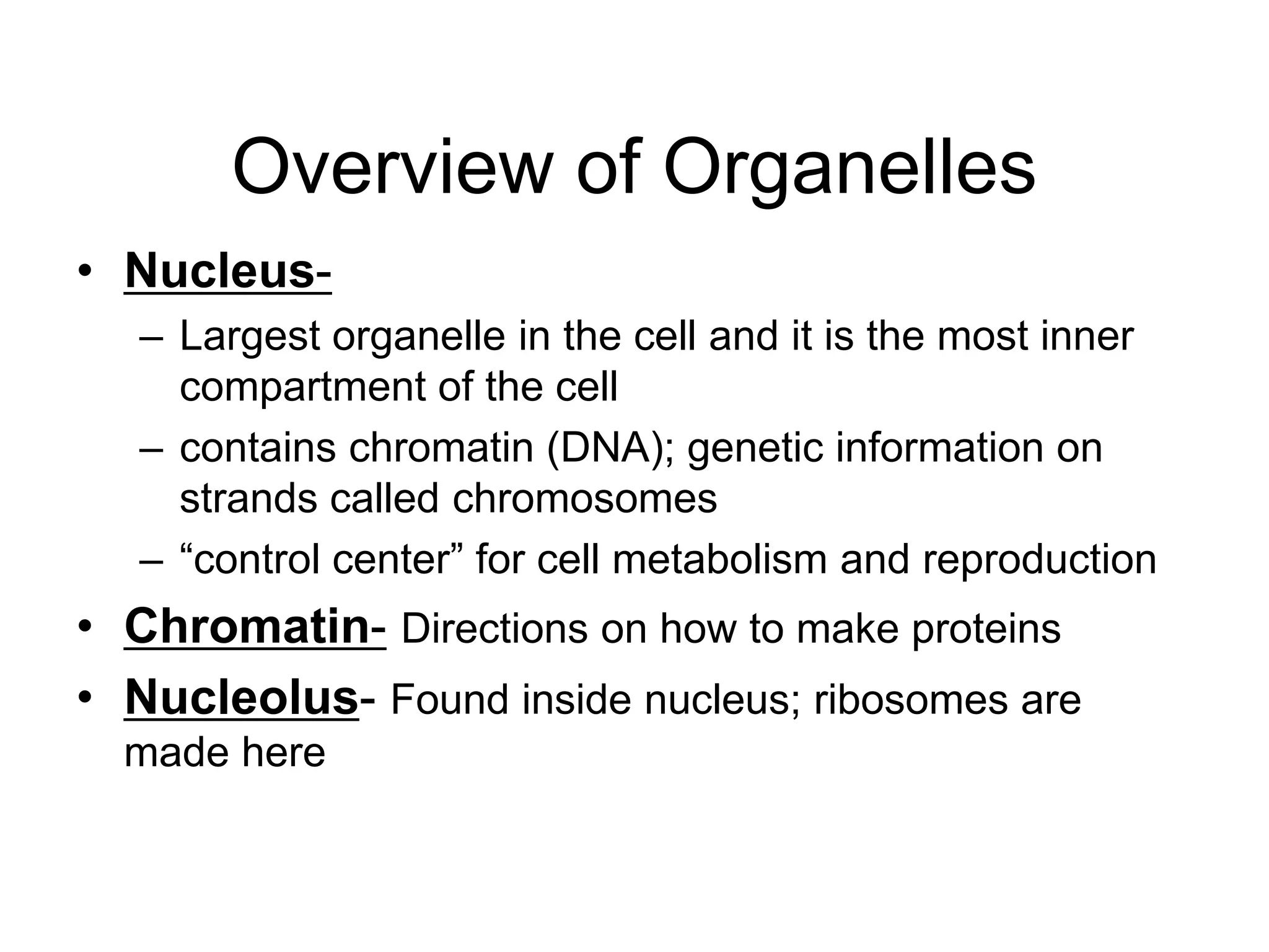 Overview of Organelles
• Nucleus-
– Largest organelle in the cell and it is the most inner
compartment of the cell
– contains chromatin (DNA); genetic information on
strands called chromosomes
– “control center” for cell metabolism and reproduction
• Chromatin- Directions on how to make proteins
• Nucleolus- Found inside nucleus; ribosomes are
made here
 