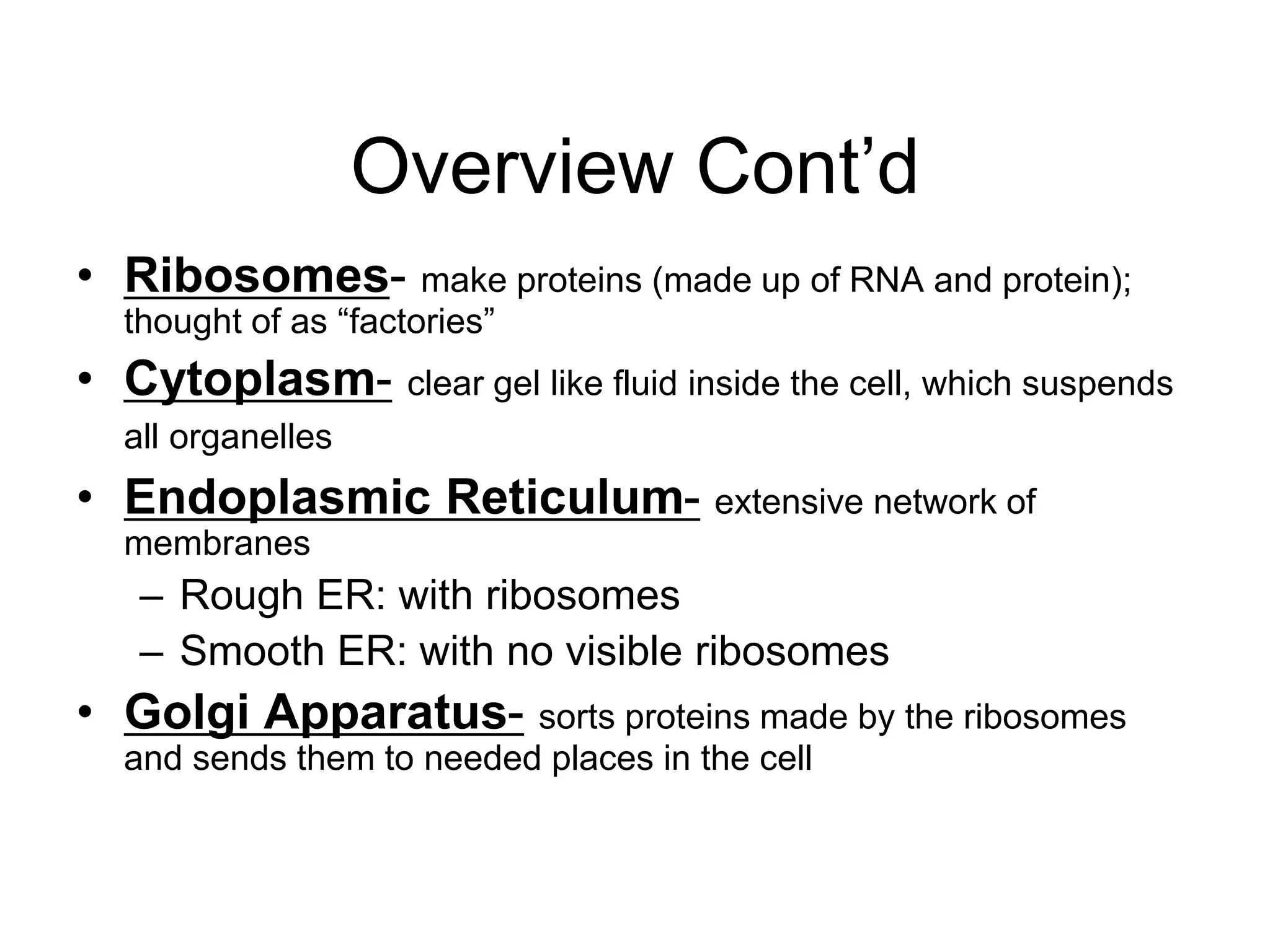 Overview Cont’d
• Ribosomes- make proteins (made up of RNA and protein);
thought of as “factories”
• Cytoplasm- clear gel like fluid inside the cell, which suspends
all organelles
• Endoplasmic Reticulum- extensive network of
membranes
– Rough ER: with ribosomes
– Smooth ER: with no visible ribosomes
• Golgi Apparatus- sorts proteins made by the ribosomes
and sends them to needed places in the cell
 