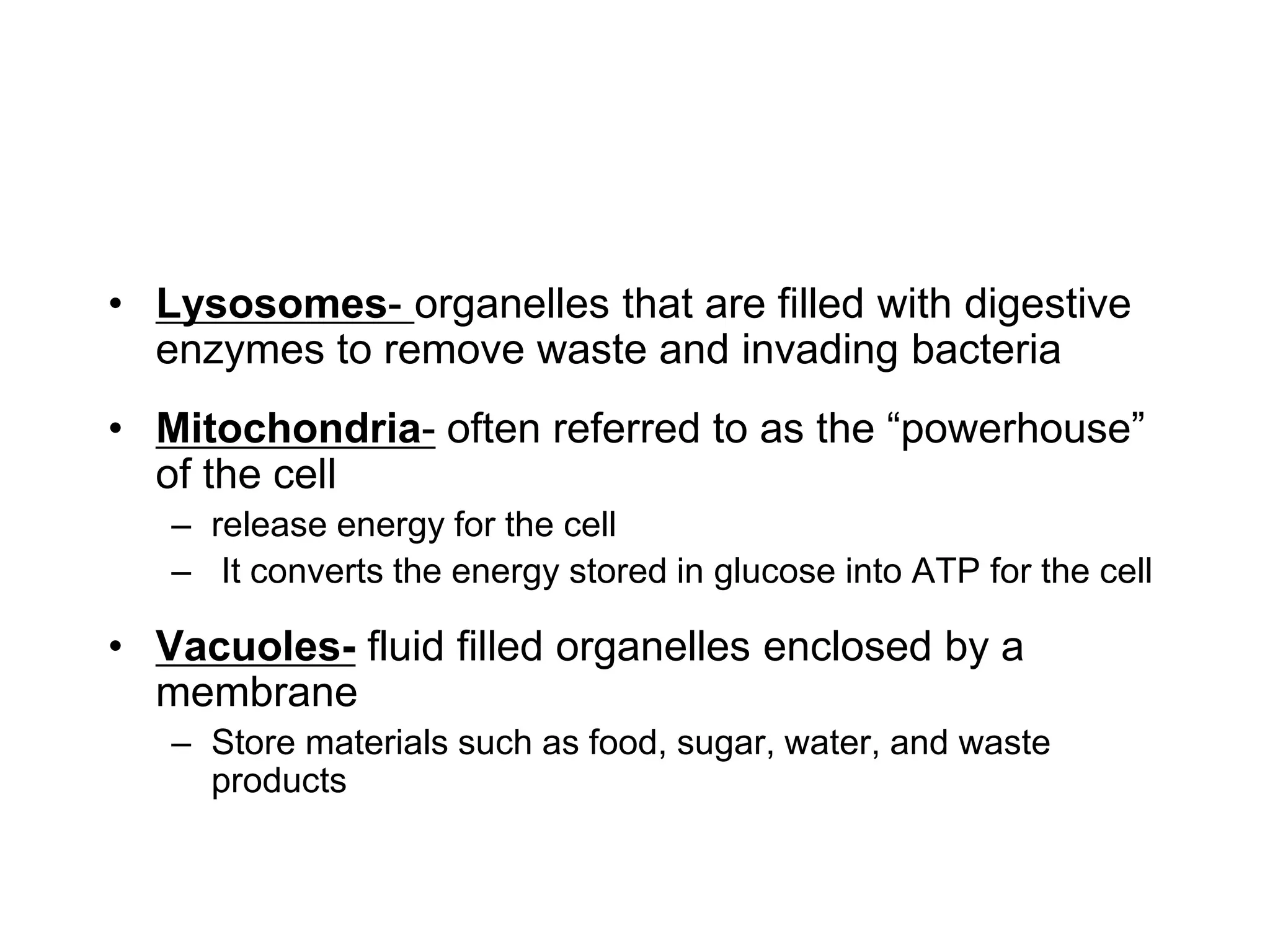 • Lysosomes- organelles that are filled with digestive
enzymes to remove waste and invading bacteria
• Mitochondria- often referred to as the “powerhouse”
of the cell
– release energy for the cell
– It converts the energy stored in glucose into ATP for the cell
• Vacuoles- fluid filled organelles enclosed by a
membrane
– Store materials such as food, sugar, water, and waste
products
 
