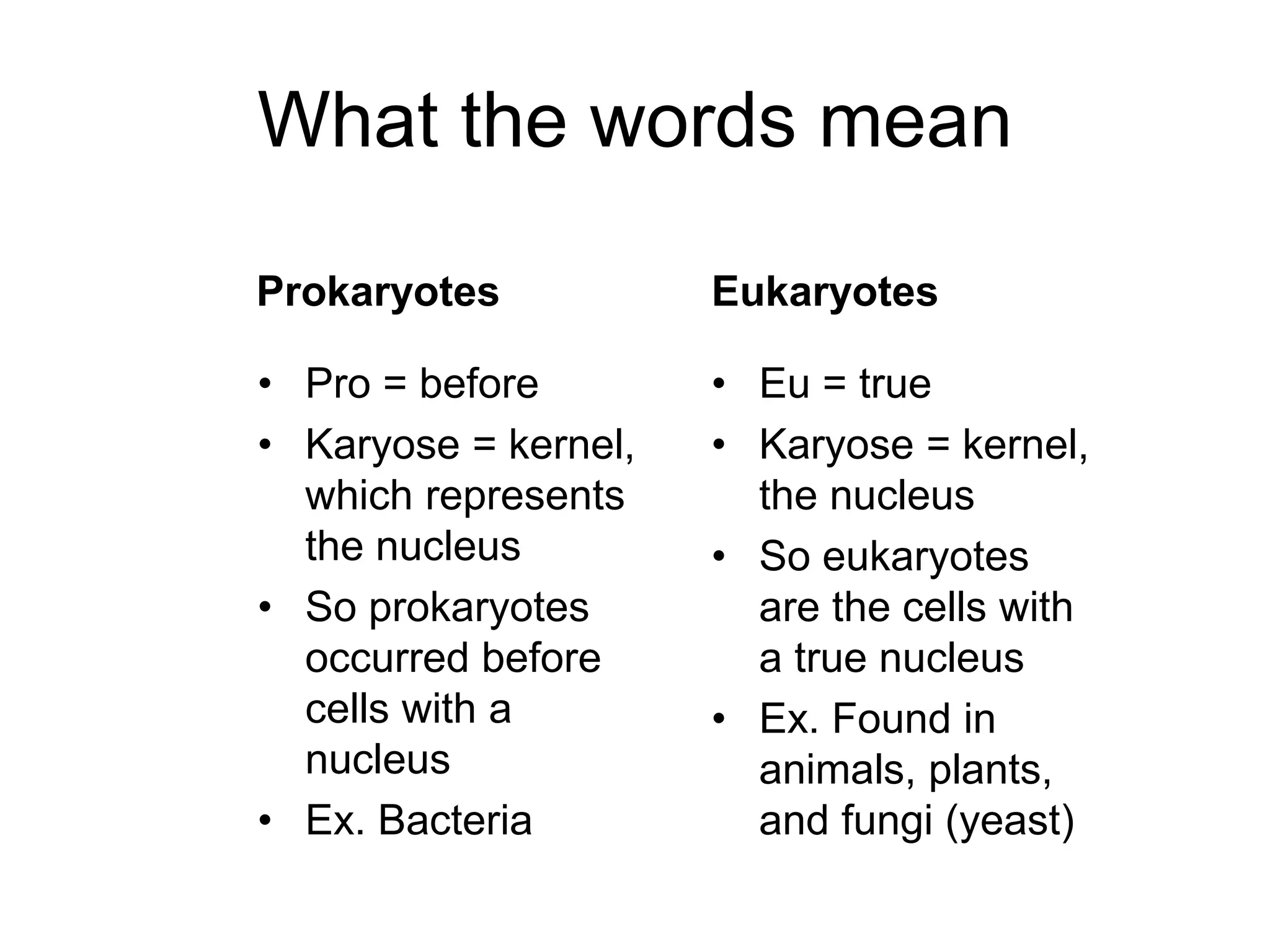 What the words mean
Prokaryotes
• Pro = before
• Karyose = kernel,
which represents
the nucleus
• So prokaryotes
occurred before
cells with a
nucleus
• Ex. Bacteria
Eukaryotes
• Eu = true
• Karyose = kernel,
the nucleus
• So eukaryotes
are the cells with
a true nucleus
• Ex. Found in
animals, plants,
and fungi (yeast)
 