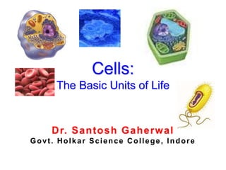 Cells:
The Basic Units of Life
Dr. Santosh Gaherwal
Govt. Holkar Science College, Indore
 
