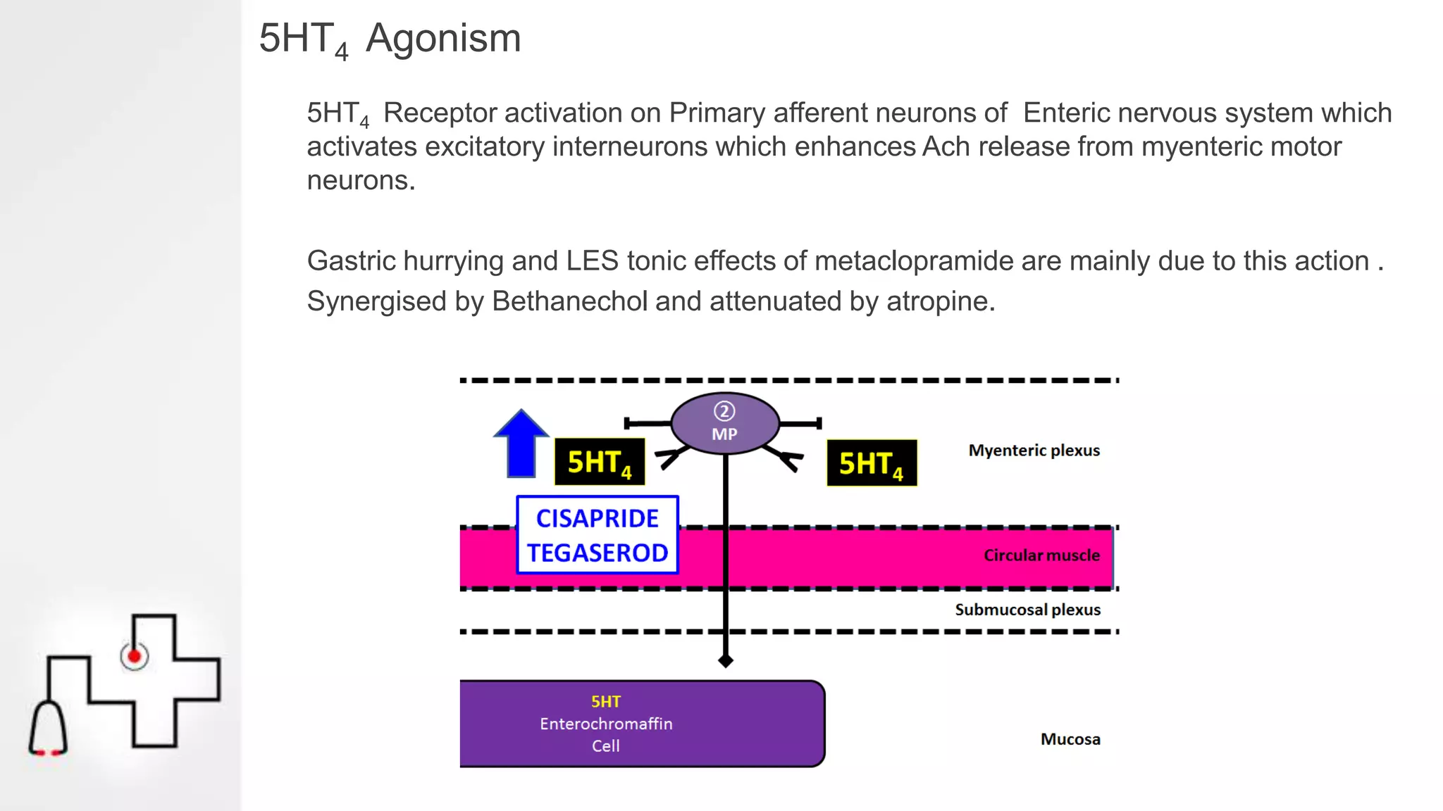 5HT4 Agonism
5HT4 Receptor activation on Primary afferent neurons of Enteric nervous system which
activates excitatory interneurons which enhances Ach release from myenteric motor
neurons.
Gastric hurrying and LES tonic effects of metaclopramide are mainly due to this action .
Synergised by Bethanechol and attenuated by atropine.
 