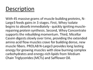 Prolab N-Large 3 Review