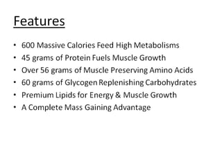 Prolab N-Large 3 Review