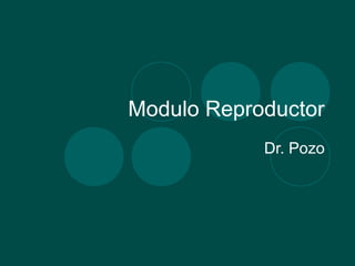 Modulo Reproductor
            Dr. Pozo
 