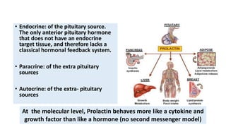 • Endocrine: of the pituitary source.
The only anterior pituitary hormone
that does not have an endocrine
target tissue, and therefore lacks a
classical hormonal feedback system.
• Paracrine: of the extra pituitary
sources
• Autocrine: of the extra- pituitary
sources
At the molecular level, Prolactin behaves more like a cytokine and
growth factor than like a hormone (no second messenger model)
 